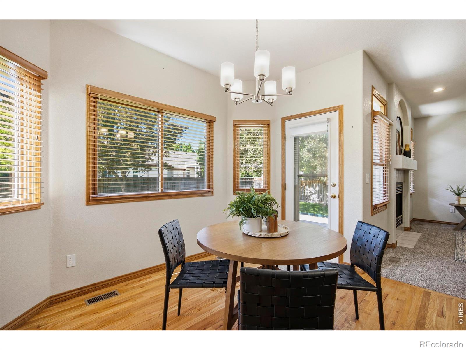 MLS Image #14 for 2213  timber creek drive,fort collins, Colorado