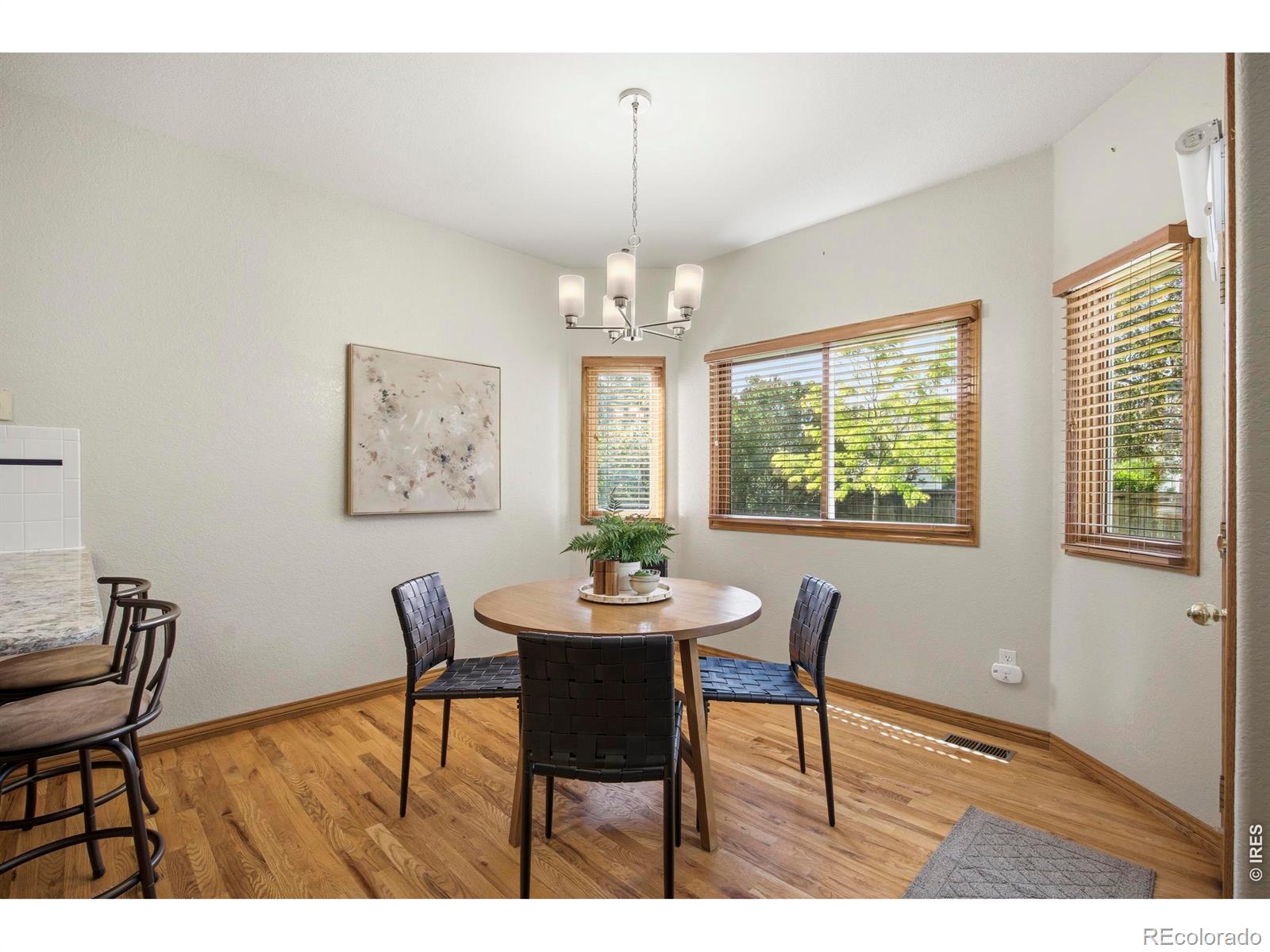 MLS Image #8 for 2213  timber creek drive,fort collins, Colorado