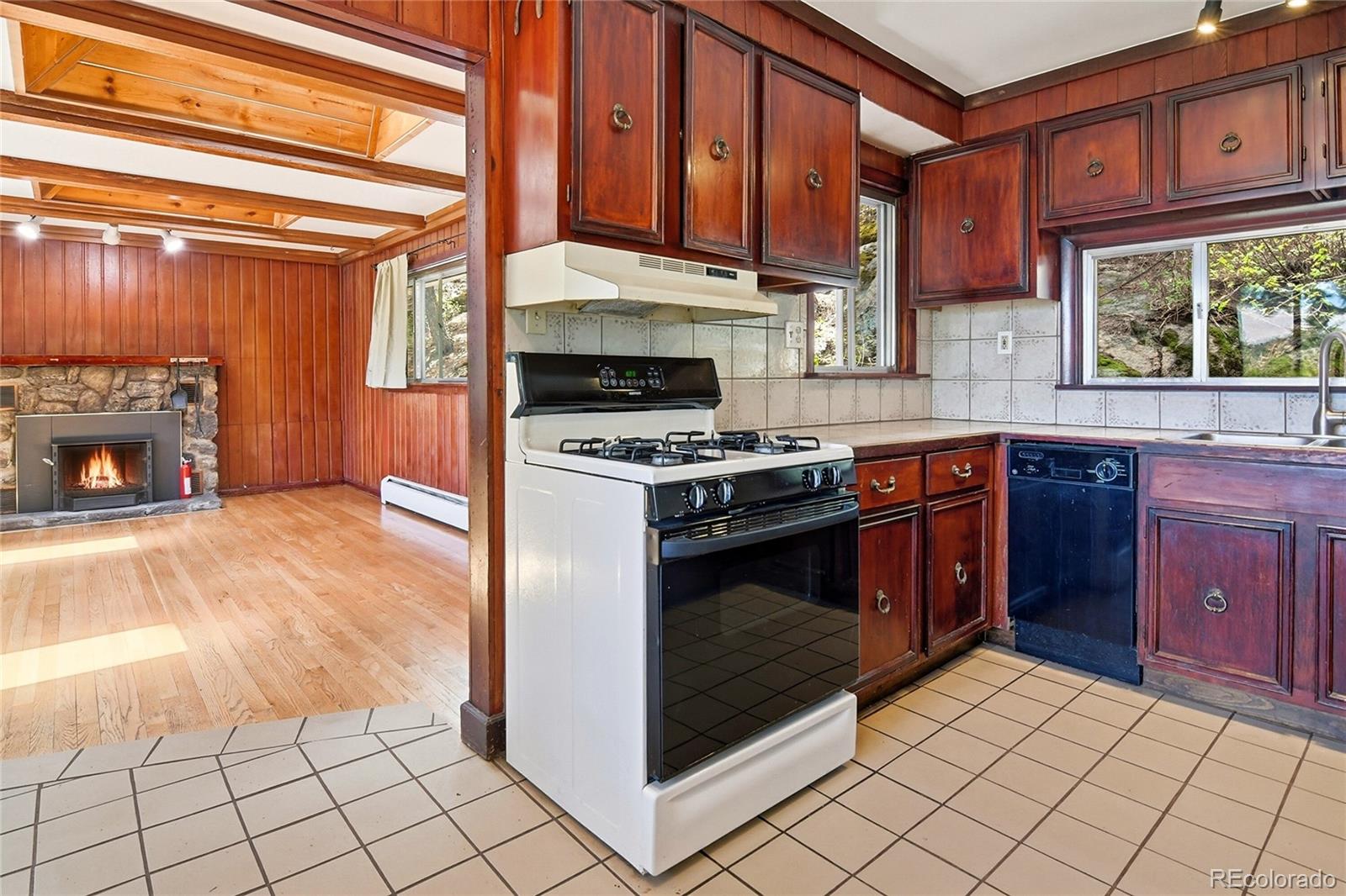 MLS Image #12 for 6178 s skyline drive,evergreen, Colorado