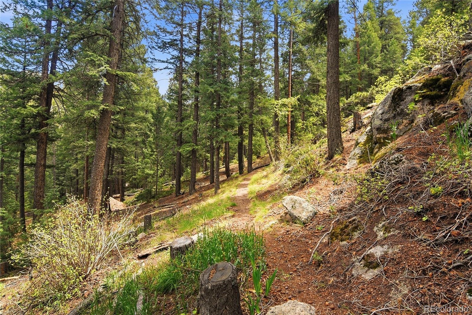MLS Image #25 for 6178 s skyline drive,evergreen, Colorado