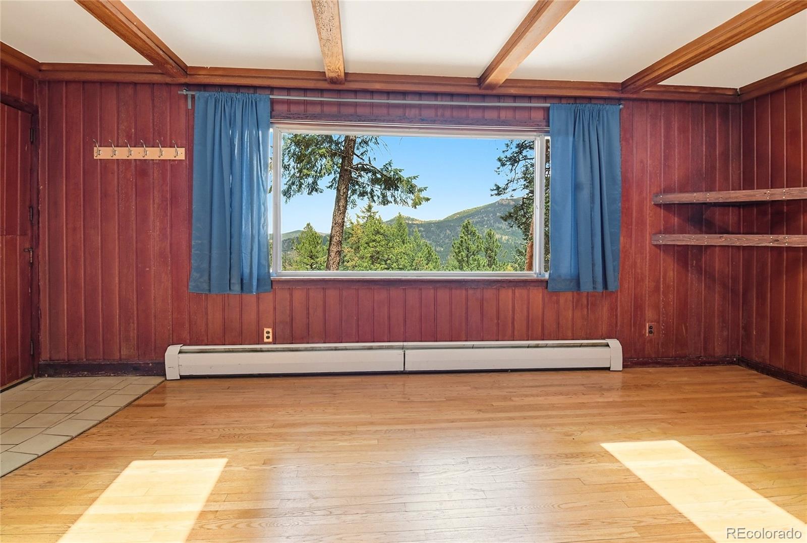 MLS Image #4 for 6178 s skyline drive,evergreen, Colorado