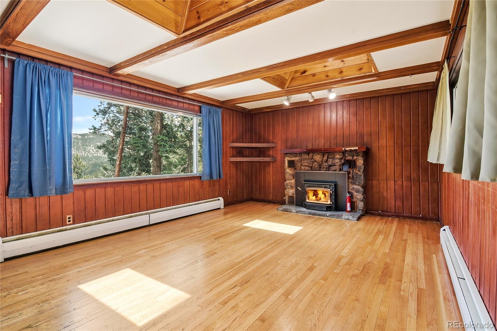 MLS Image #7 for 6178 s skyline drive,evergreen, Colorado