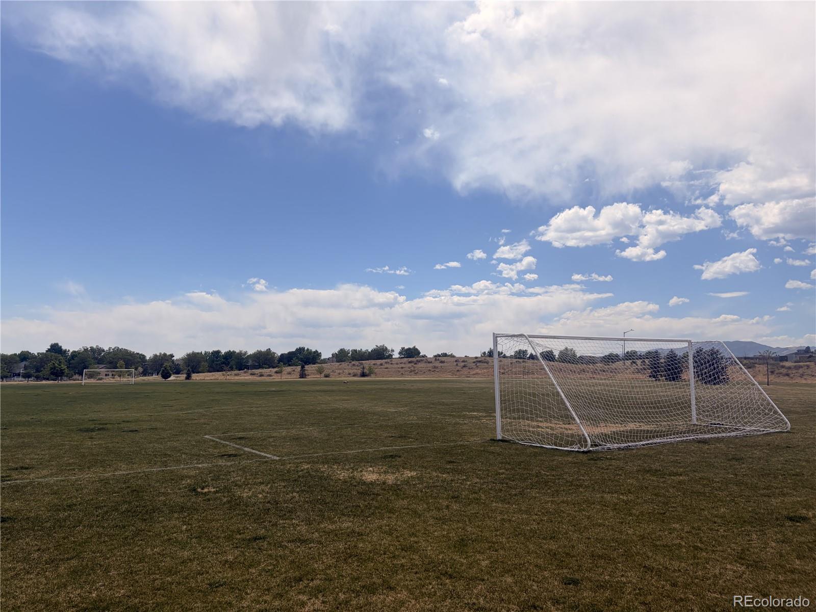 MLS Image #4 for 3005  gladstone avenue,loveland, Colorado