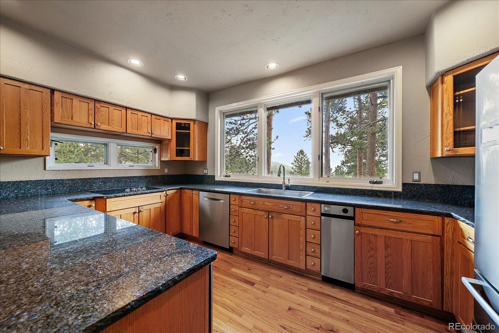MLS Image #18 for 395  spring ranch drive,golden, Colorado