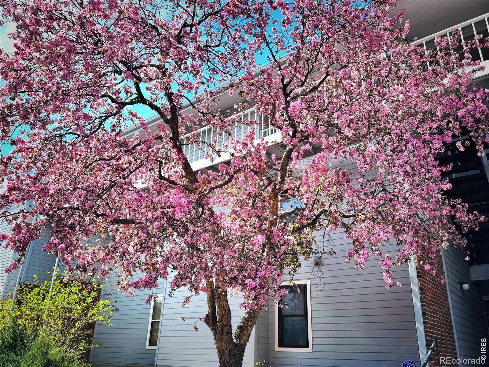 MLS Image #3 for 3121 s tamarac drive 208,denver, Colorado