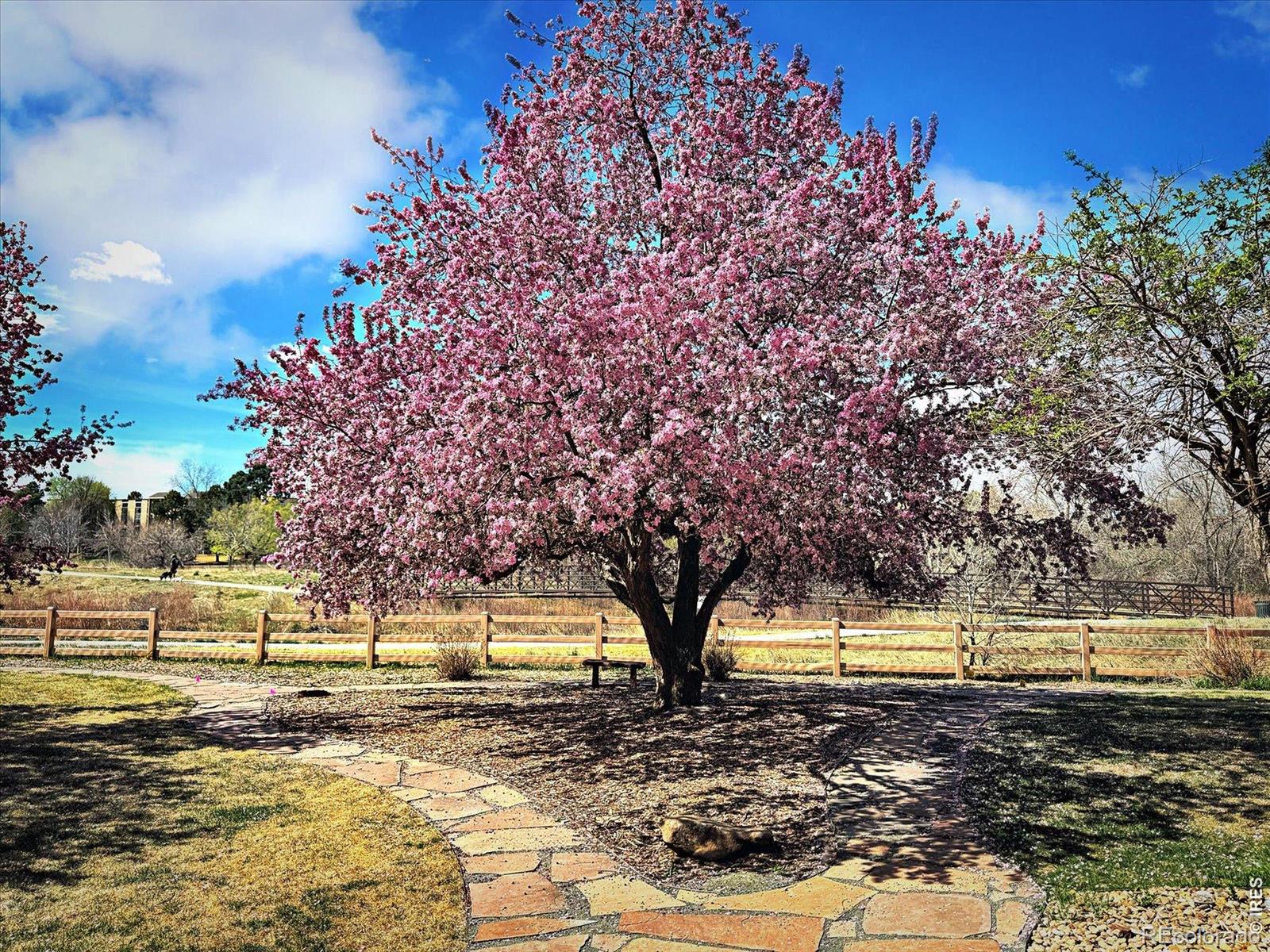 MLS Image #39 for 3121 s tamarac drive 208,denver, Colorado