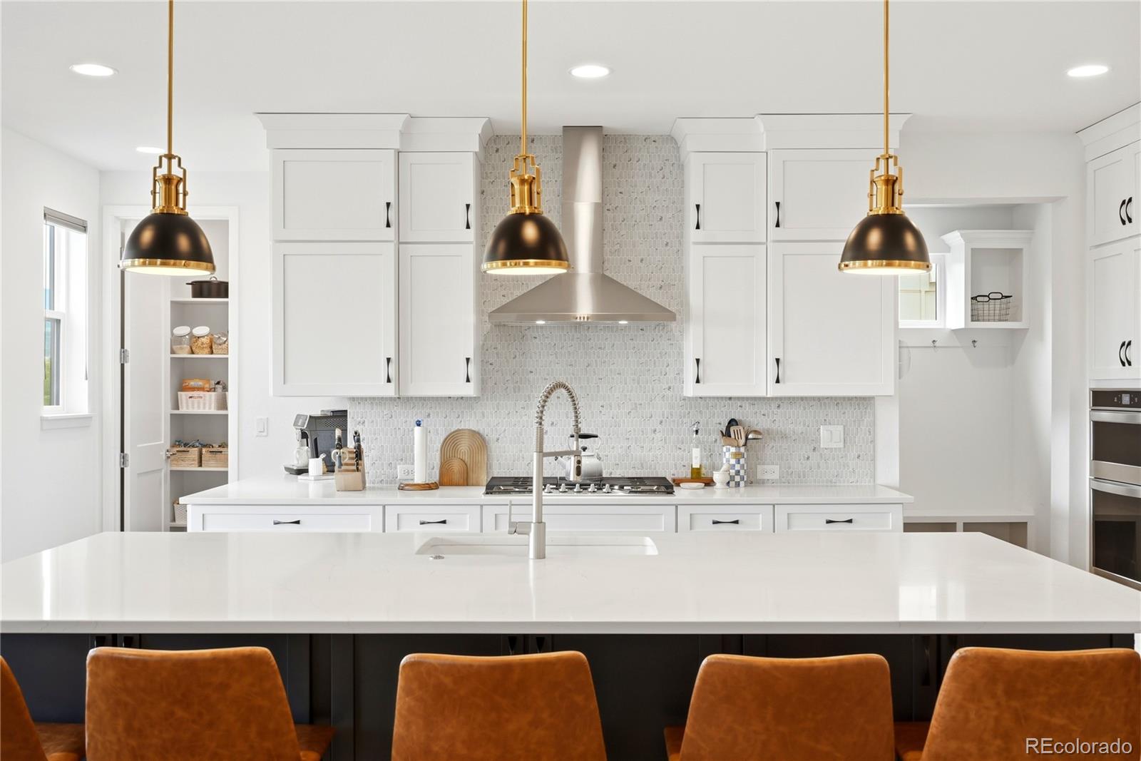 MLS Image #7 for 9148  star fall circle,littleton, Colorado