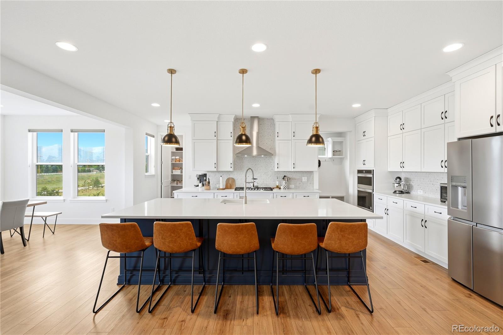 MLS Image #8 for 9148  star fall circle,littleton, Colorado