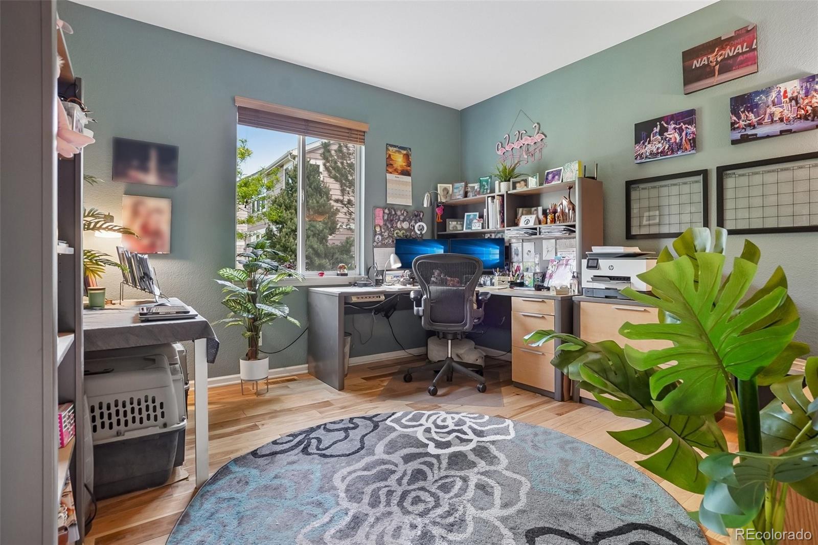 MLS Image #21 for 23383  rockdale place,parker, Colorado