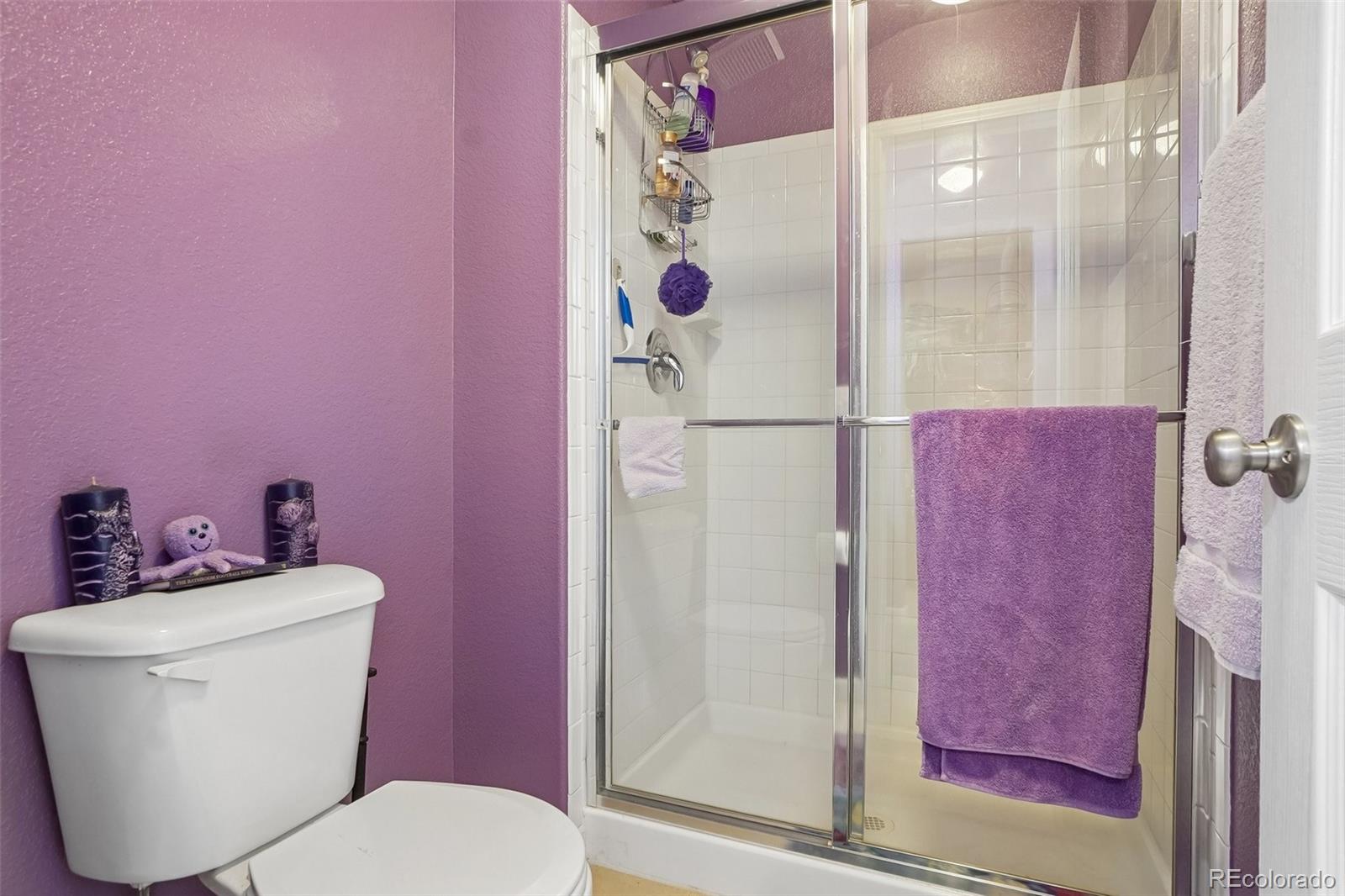 MLS Image #25 for 23383  rockdale place,parker, Colorado