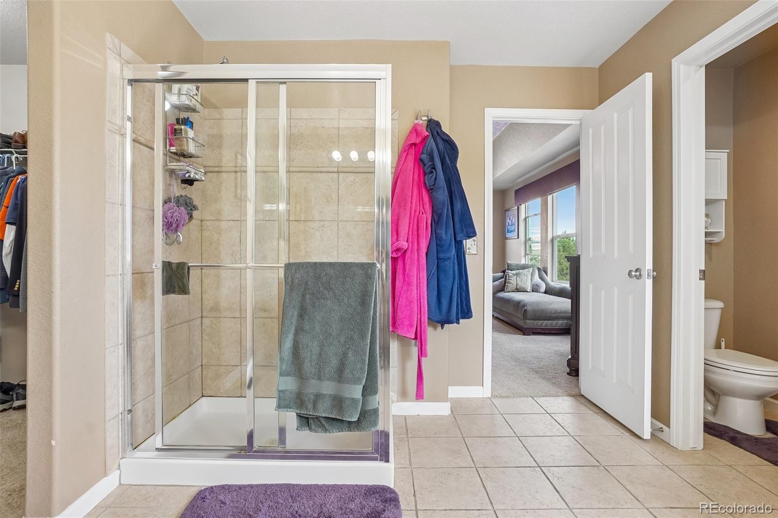 MLS Image #32 for 23383  rockdale place,parker, Colorado