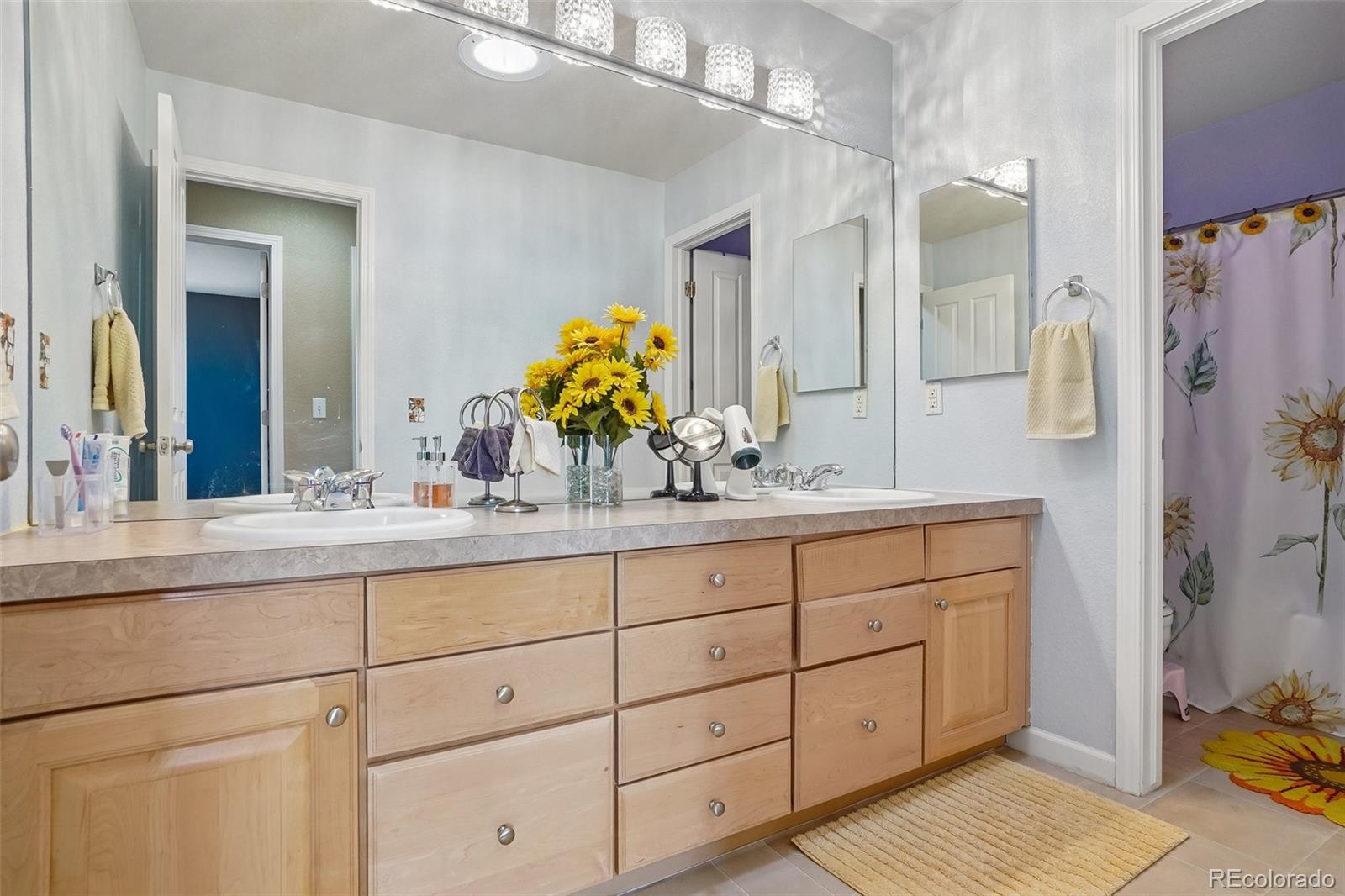 MLS Image #35 for 23383  rockdale place,parker, Colorado