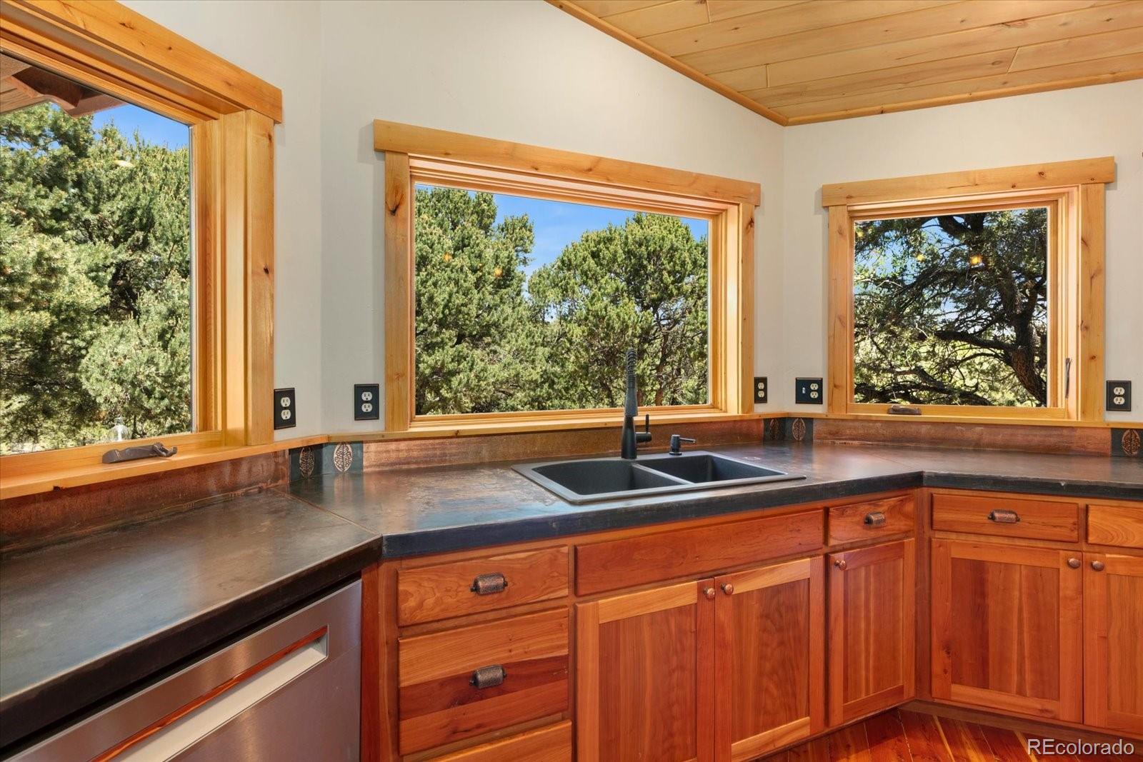 MLS Image #17 for 12200  saddle ridge lane,salida, Colorado