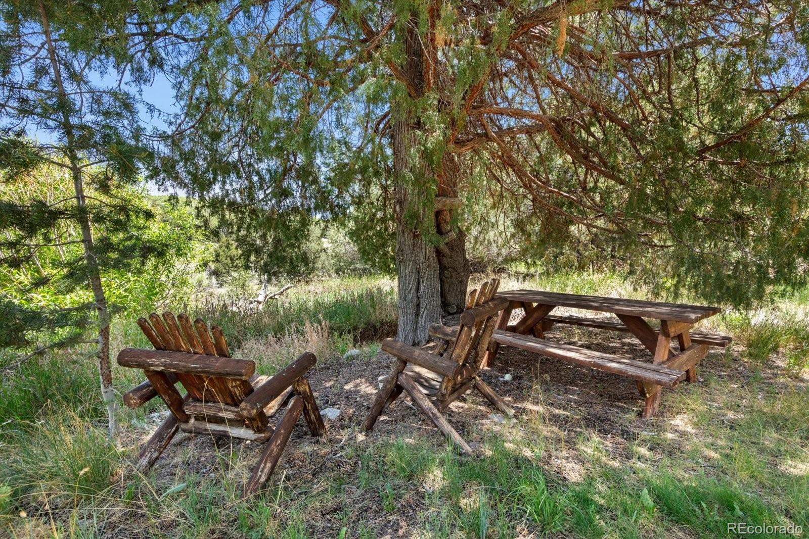 MLS Image #44 for 12200  saddle ridge lane,salida, Colorado