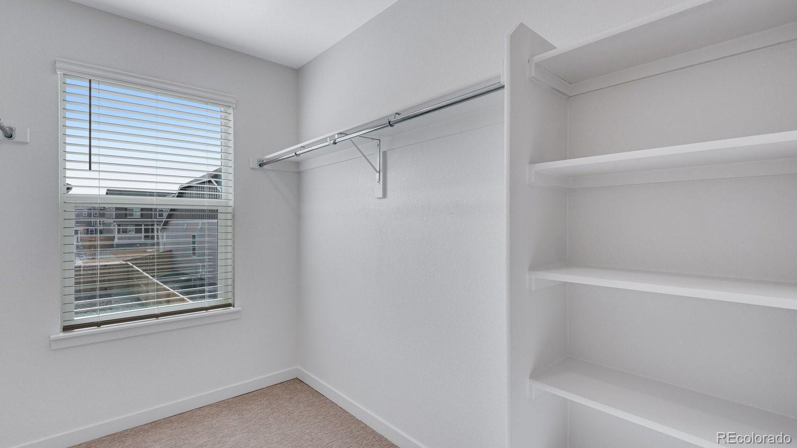 MLS Image #26 for 18113  coppermallow trail,parker, Colorado