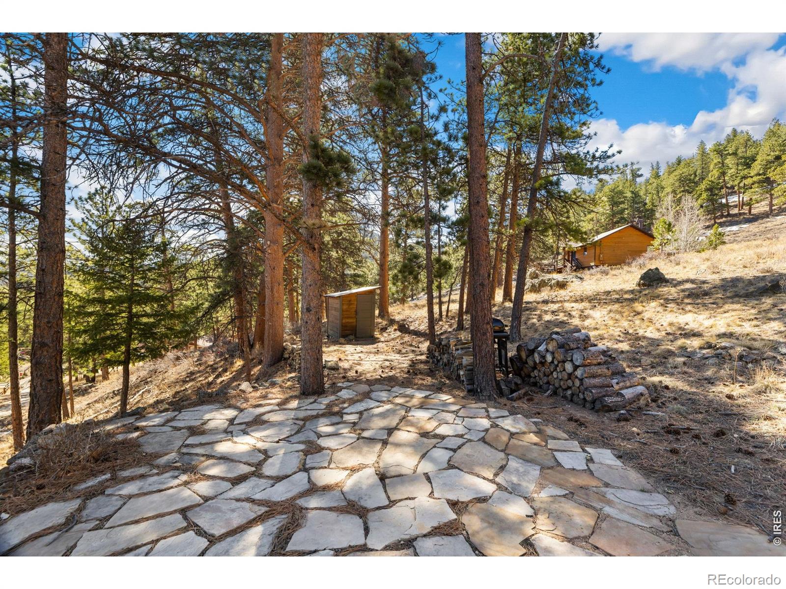 MLS Image #46 for 2340  eagle cliff road,estes park, Colorado