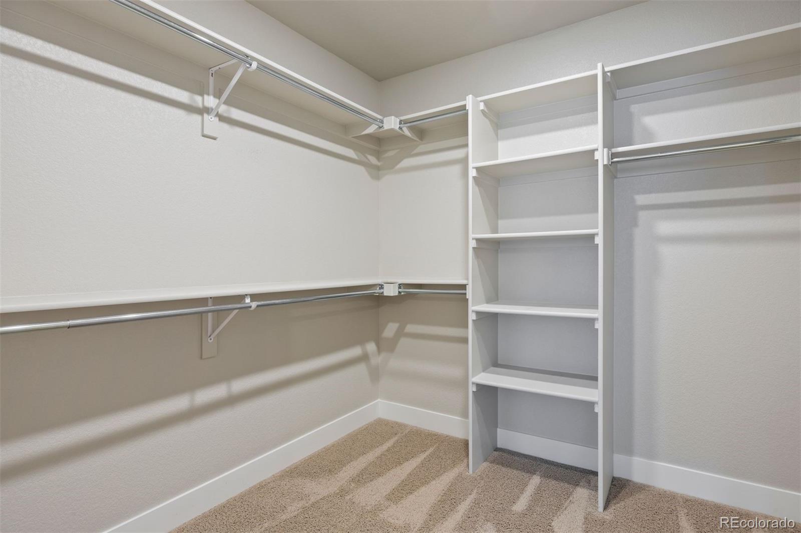 MLS Image #29 for 1556  stablecross drive,castle pines, Colorado