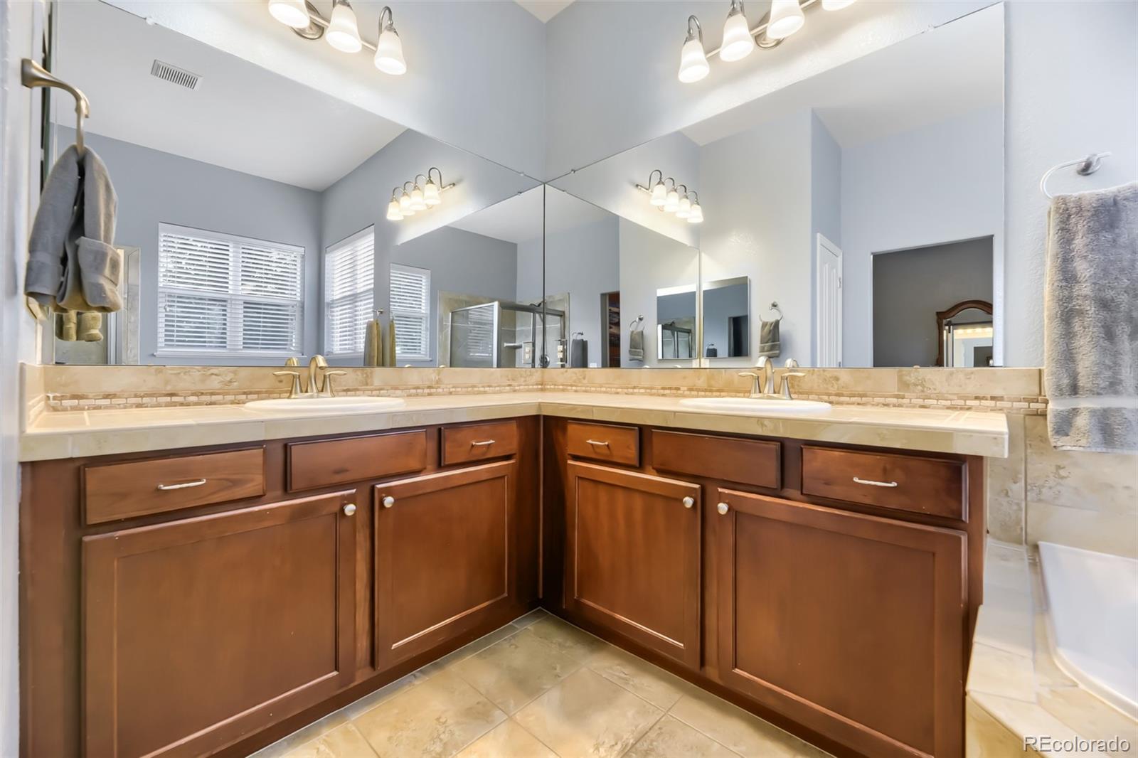 MLS Image #10 for 17014  blue indigo lane,parker, Colorado