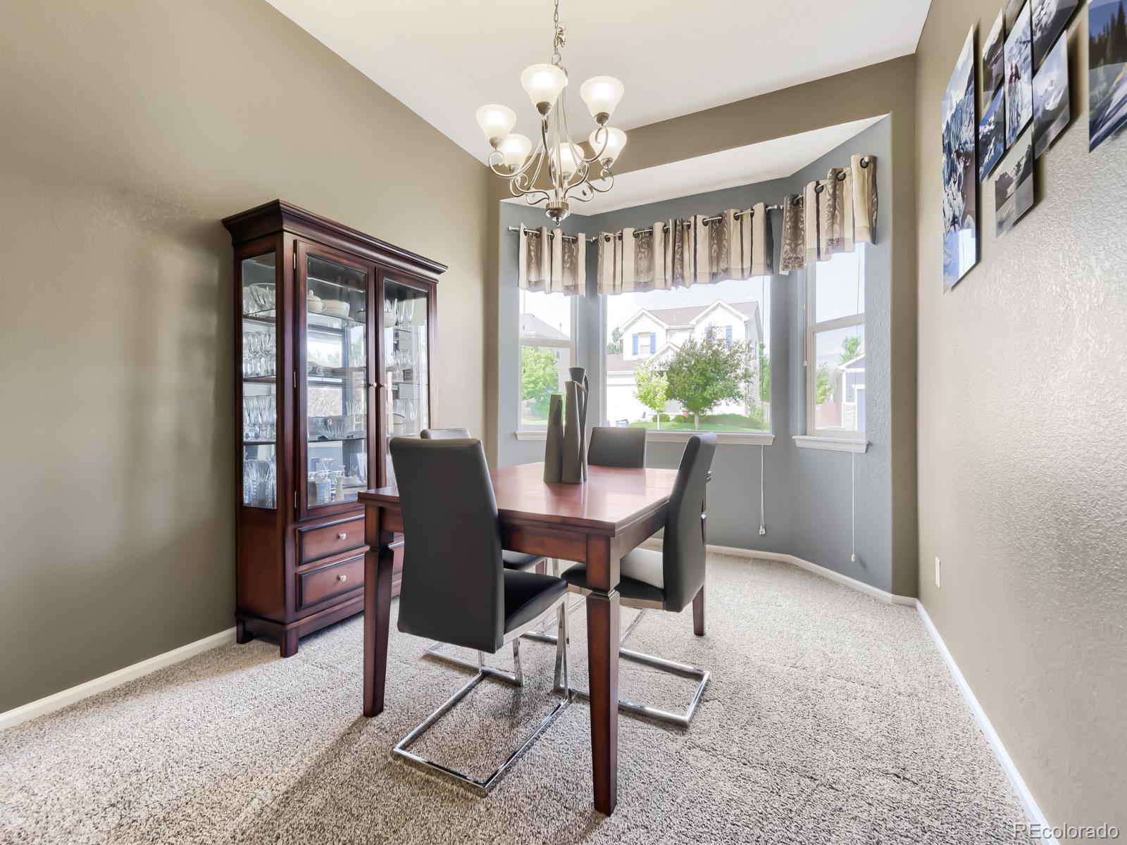 MLS Image #11 for 17014  blue indigo lane,parker, Colorado
