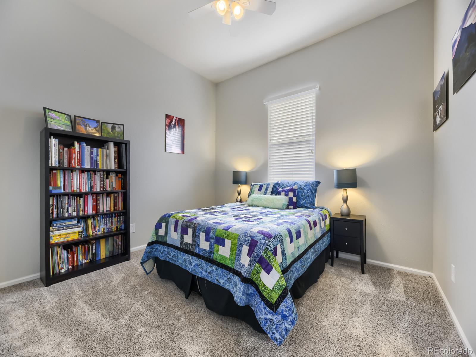 MLS Image #14 for 17014  blue indigo lane,parker, Colorado
