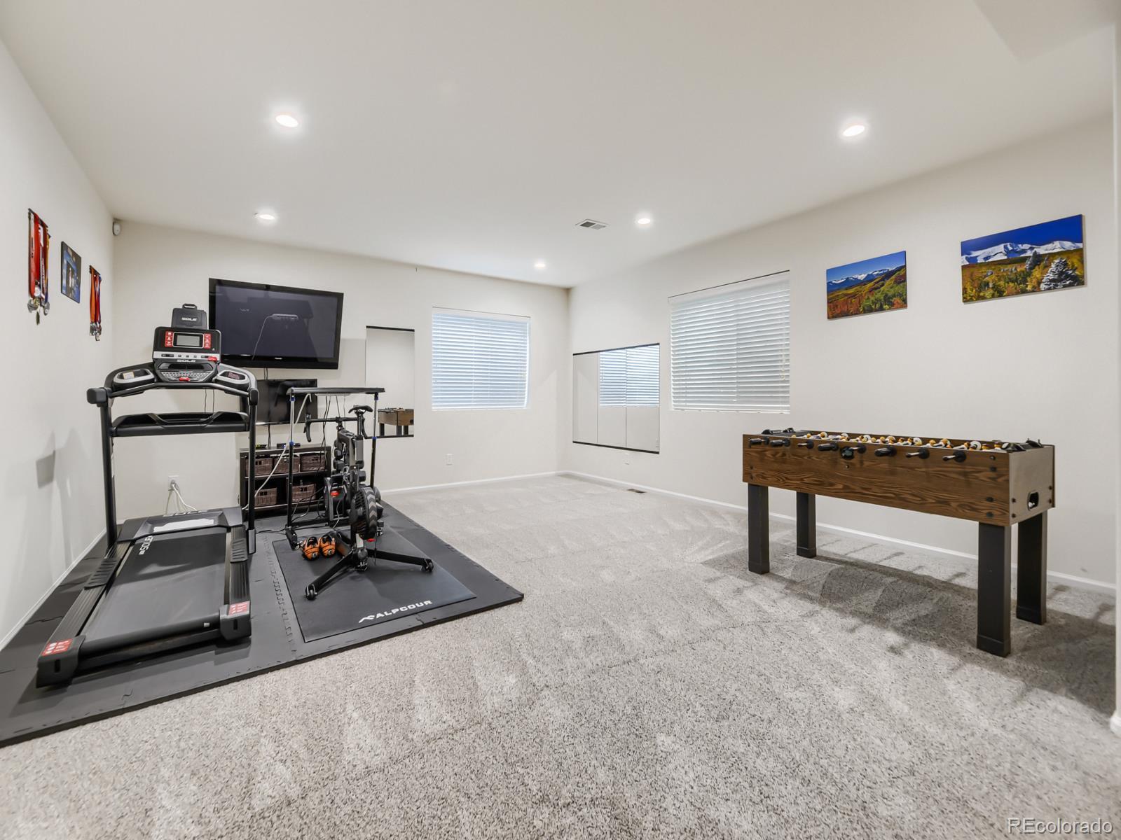 MLS Image #19 for 17014  blue indigo lane,parker, Colorado