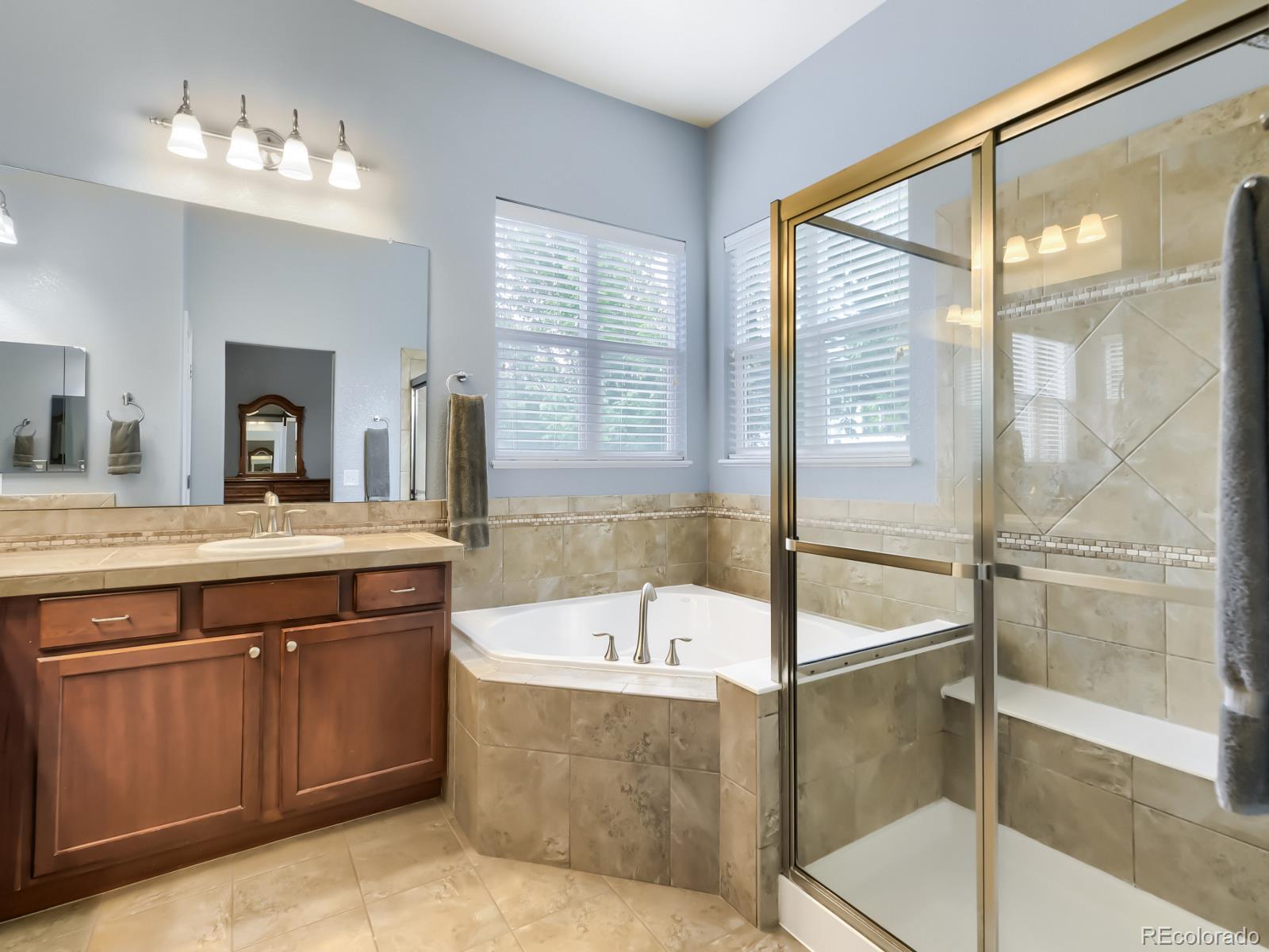 MLS Image #9 for 17014  blue indigo lane,parker, Colorado