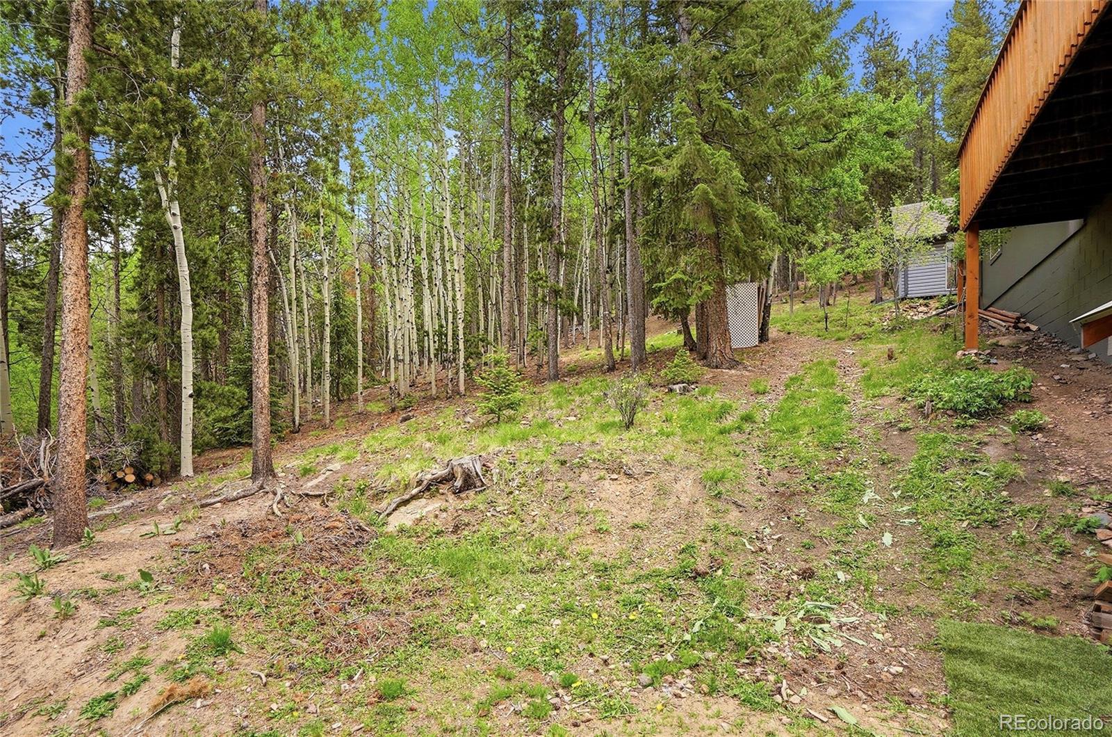 MLS Image #33 for 8450  london lane,conifer, Colorado