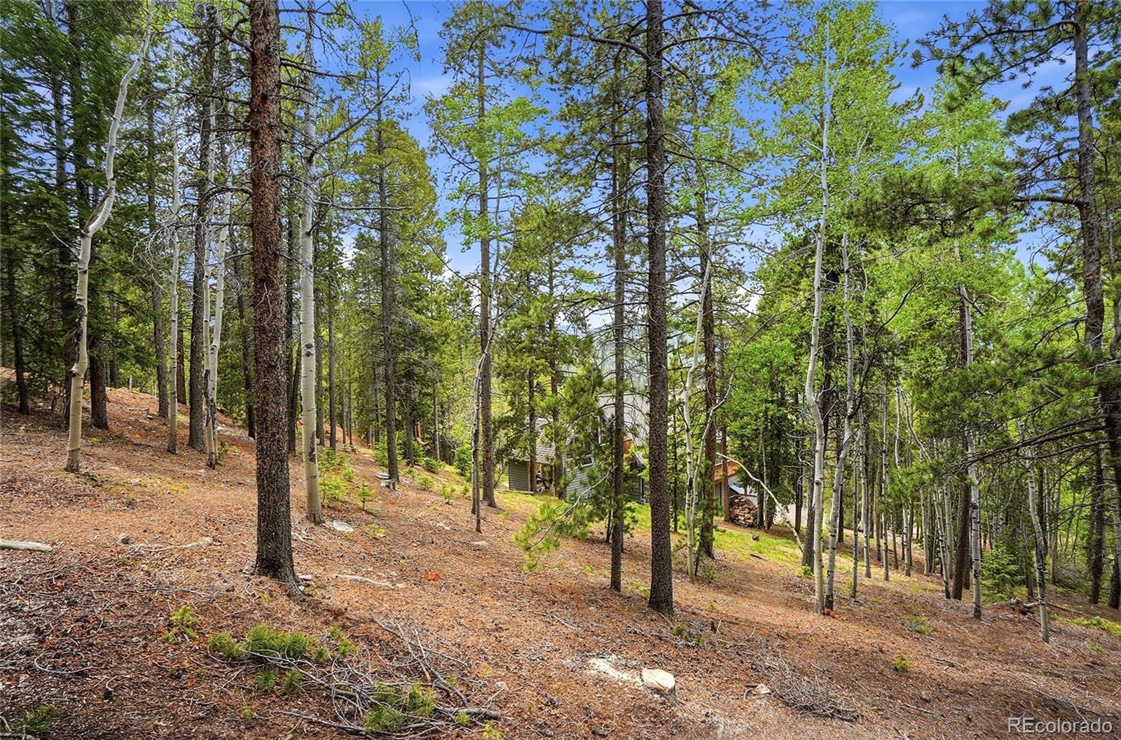 MLS Image #34 for 8450  london lane,conifer, Colorado