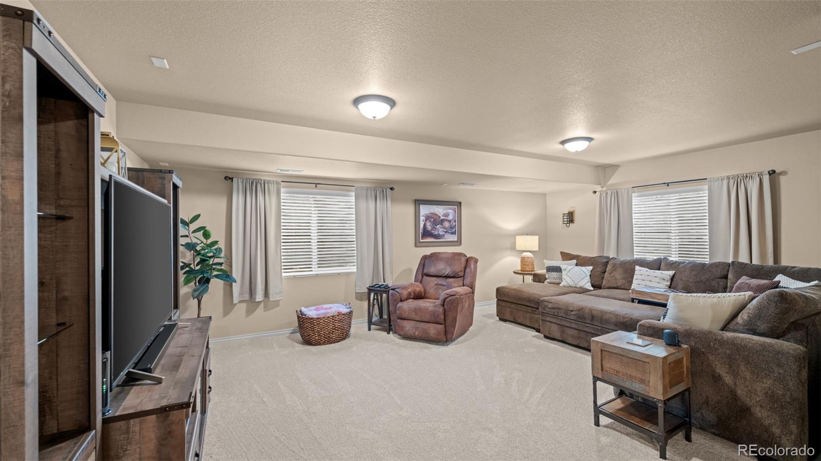 MLS Image #21 for 6591  myrtle creek drive,colorado springs, Colorado