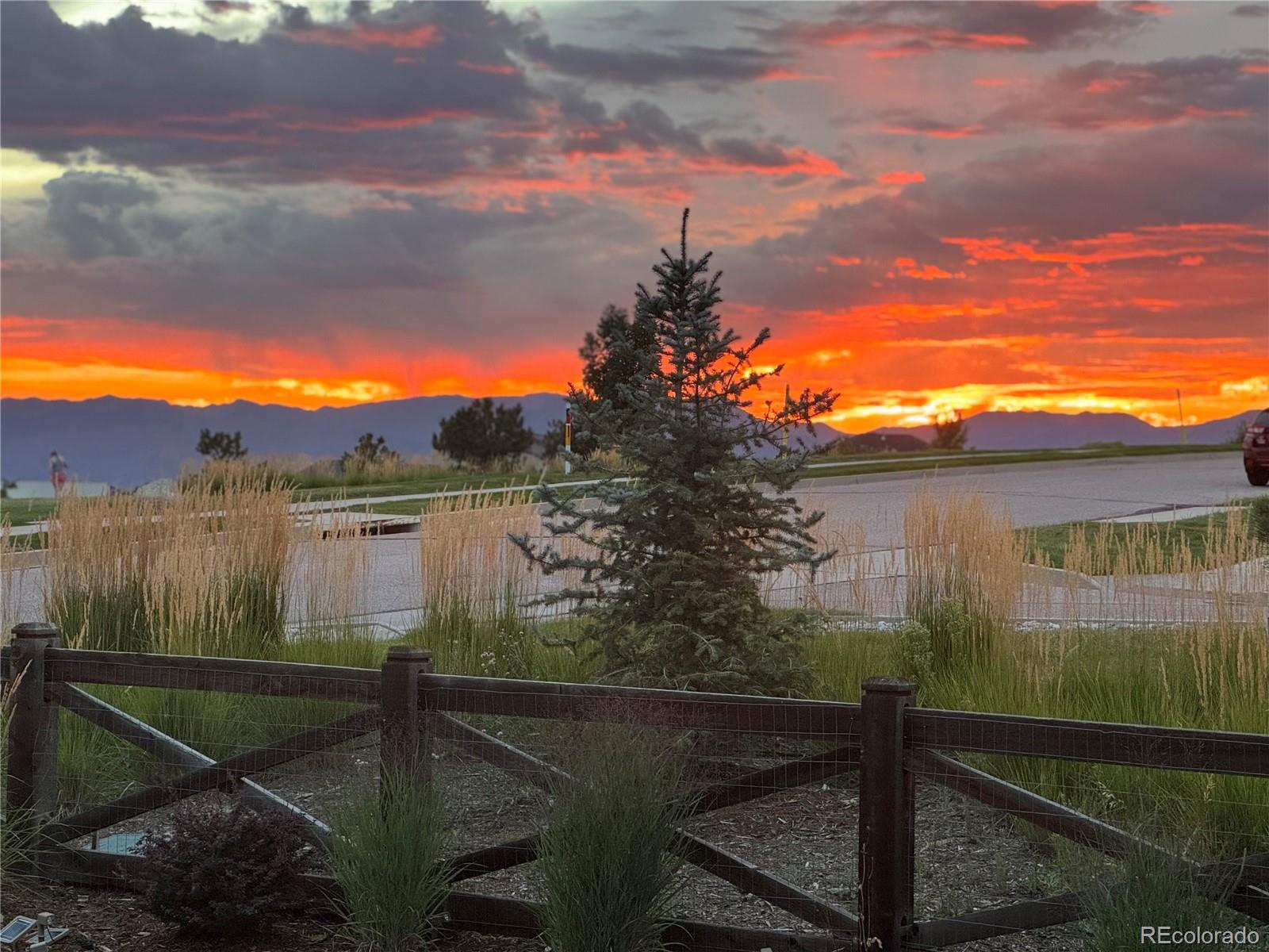 MLS Image #42 for 6591  myrtle creek drive,colorado springs, Colorado