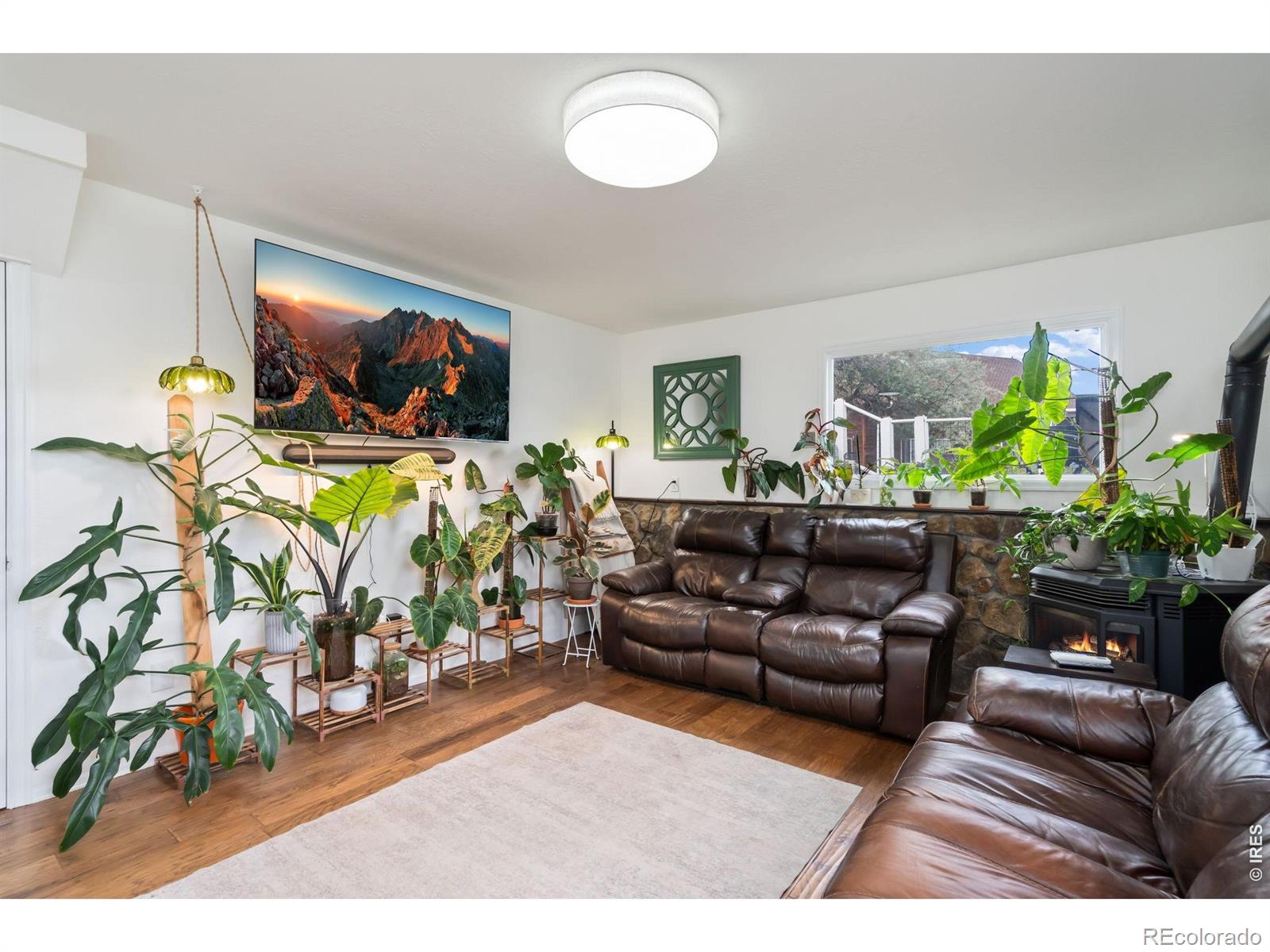 MLS Image #17 for 4916  overhill drive,fort collins, Colorado
