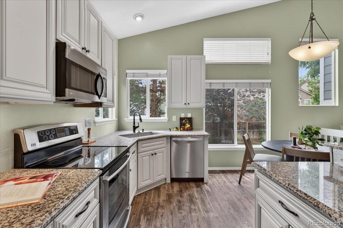 MLS Image #10 for 5228  sydney avenue,highlands ranch, Colorado