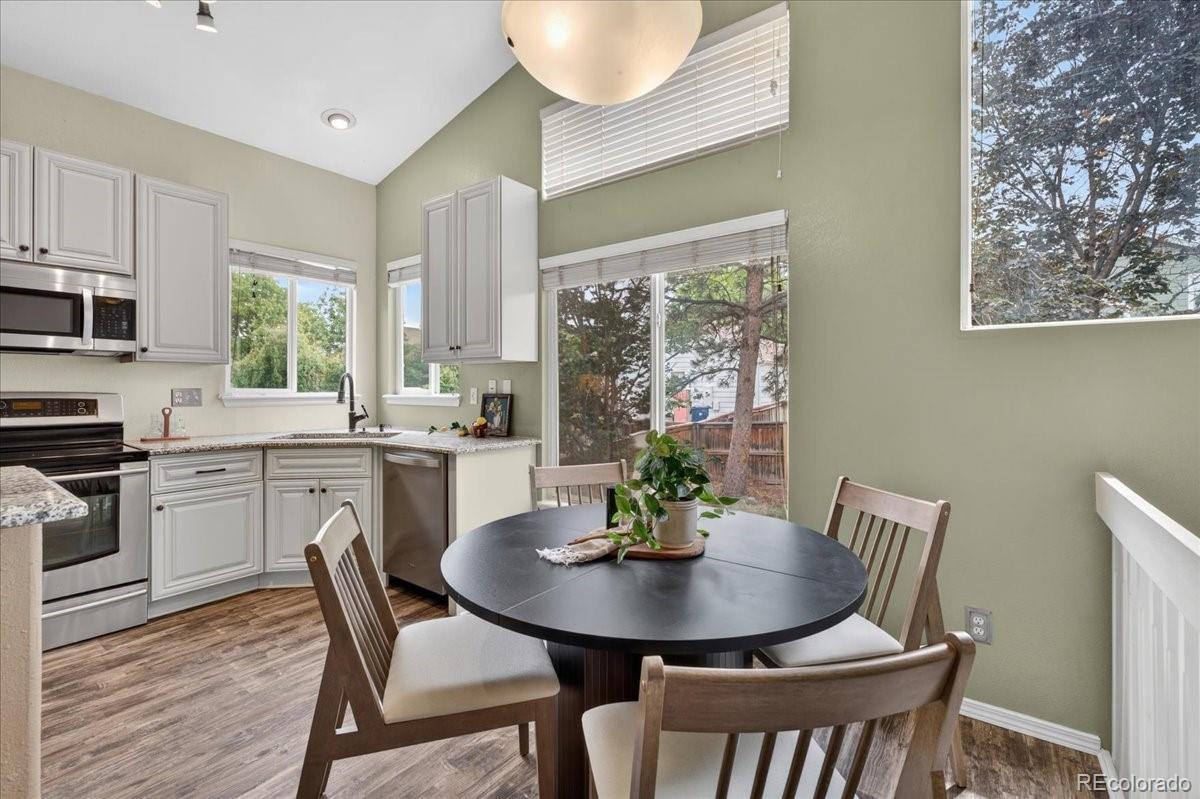MLS Image #13 for 5228  sydney avenue,highlands ranch, Colorado