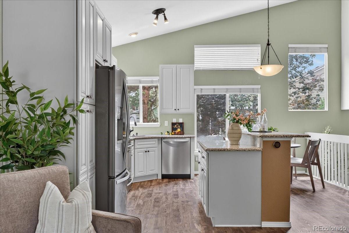 MLS Image #9 for 5228  sydney avenue,highlands ranch, Colorado