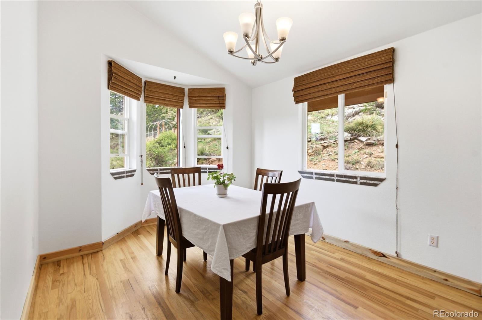 MLS Image #11 for 202  badger lane,bailey, Colorado