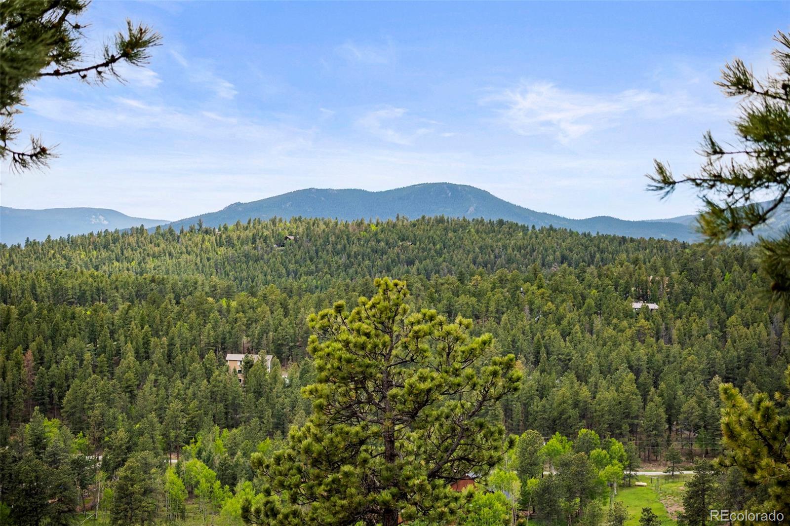 MLS Image #17 for 202  badger lane,bailey, Colorado