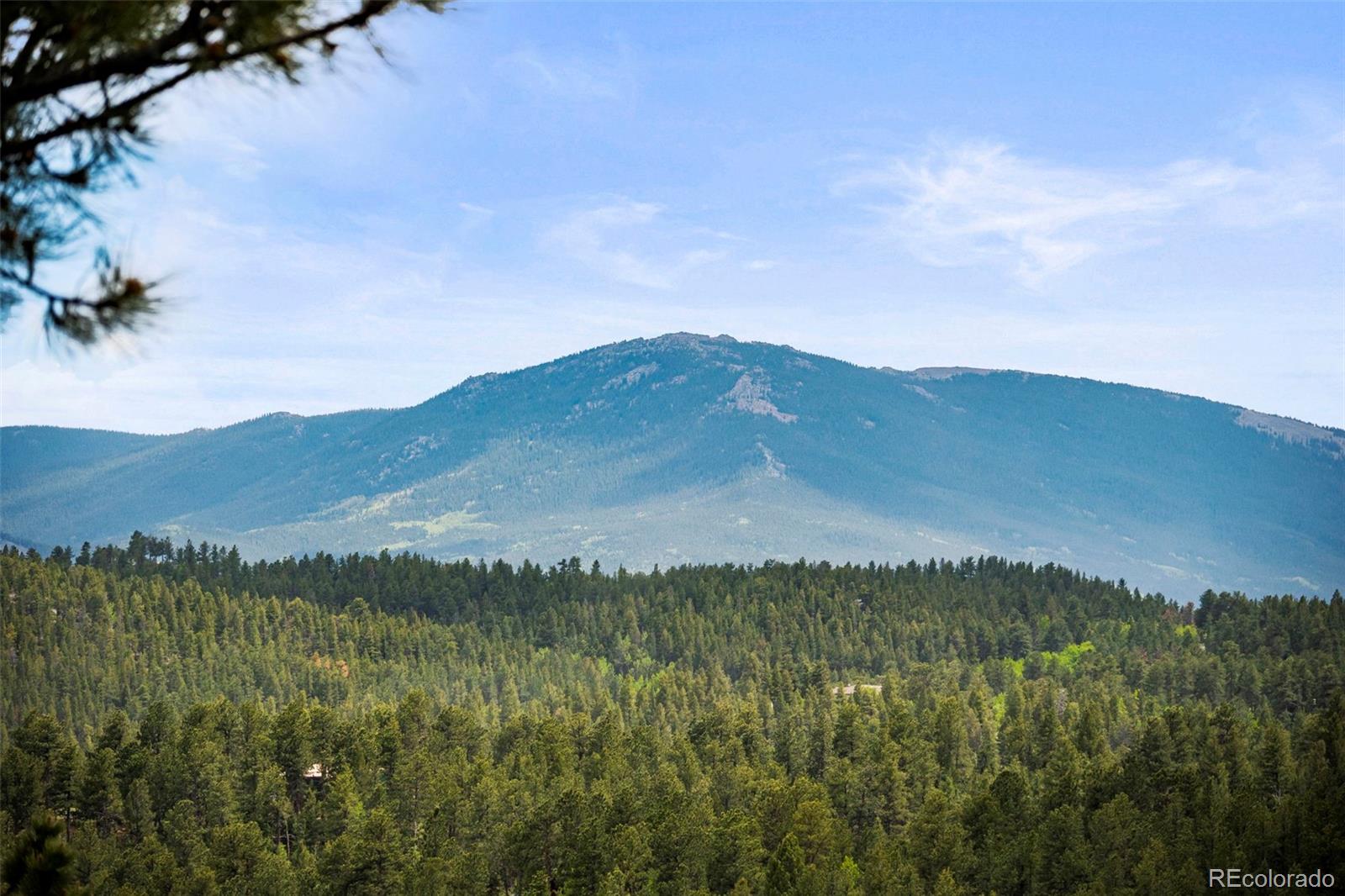 MLS Image #24 for 202  badger lane,bailey, Colorado