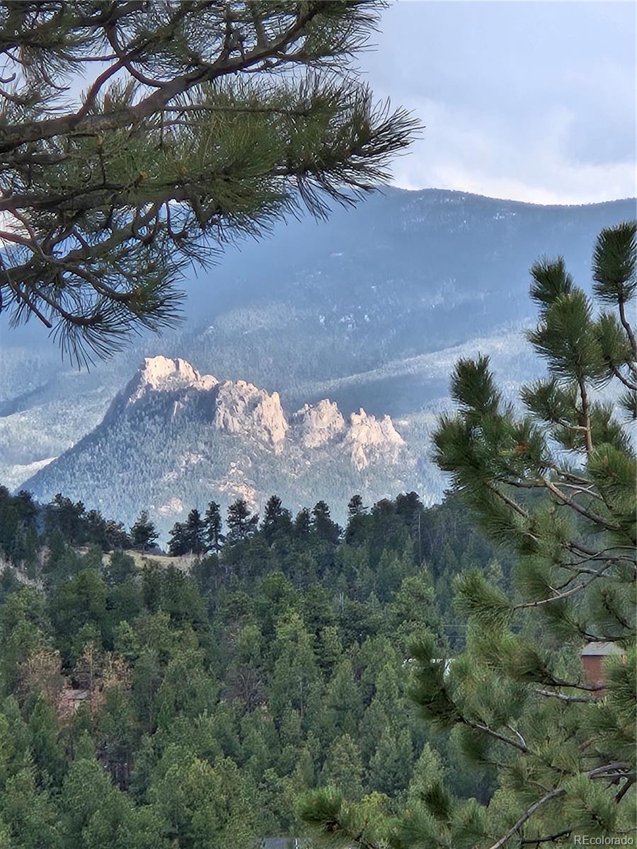 MLS Image #25 for 202  badger lane,bailey, Colorado