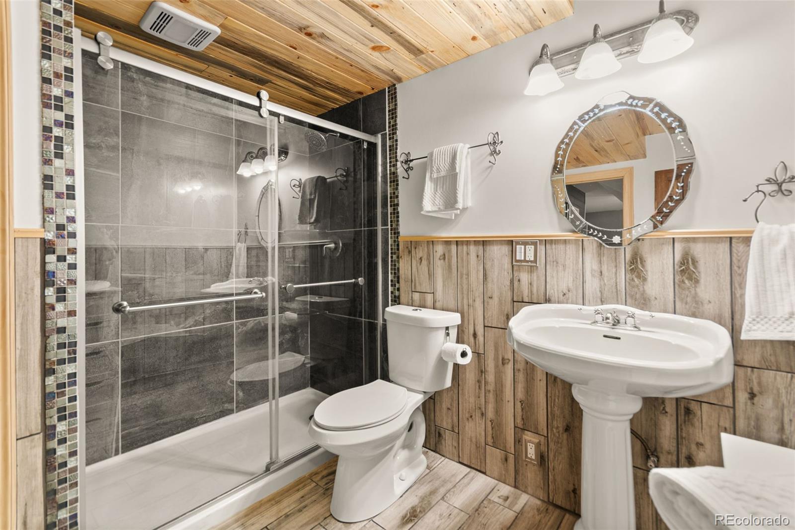 MLS Image #38 for 202  badger lane,bailey, Colorado