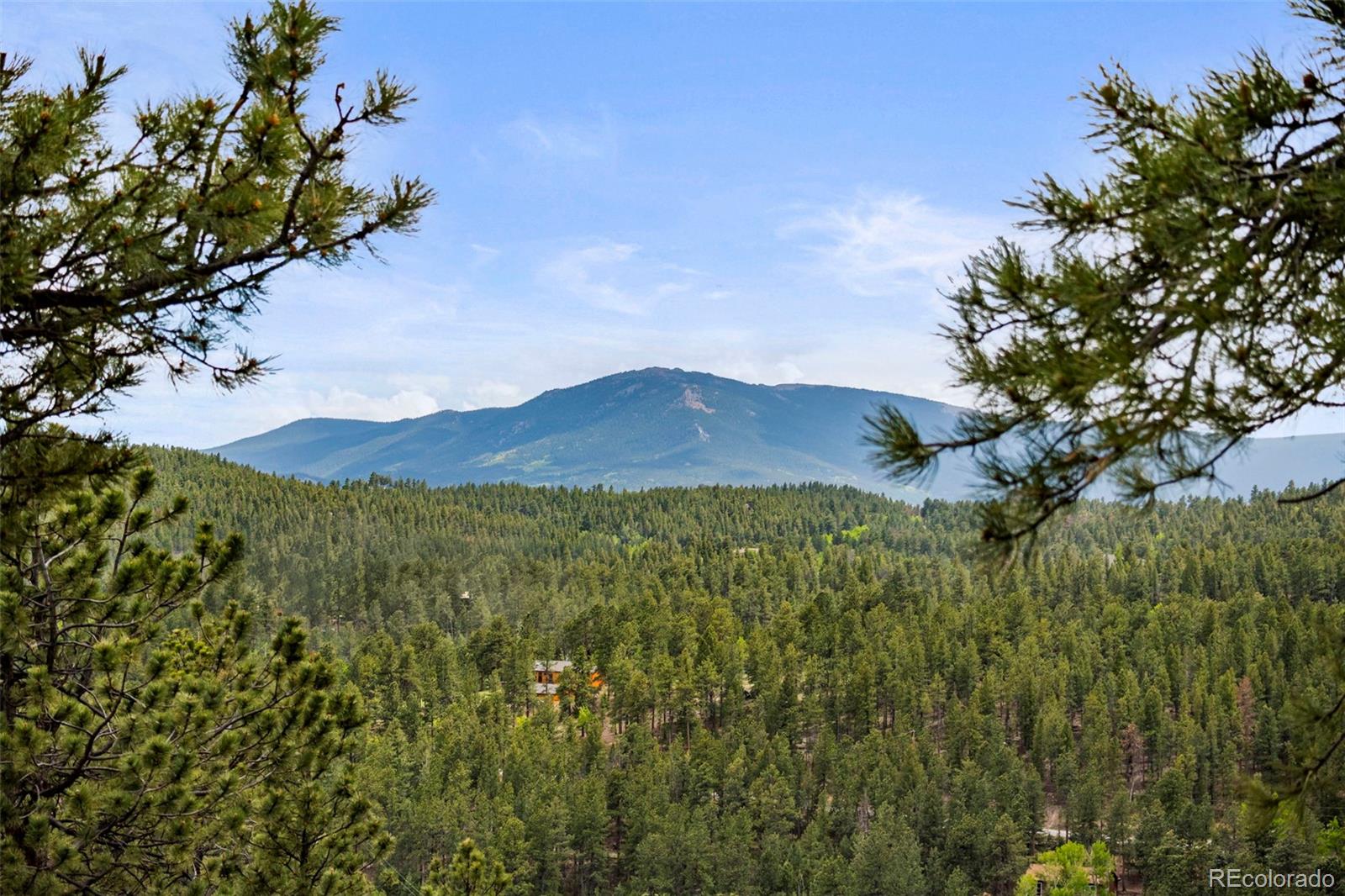 MLS Image #4 for 202  badger lane,bailey, Colorado