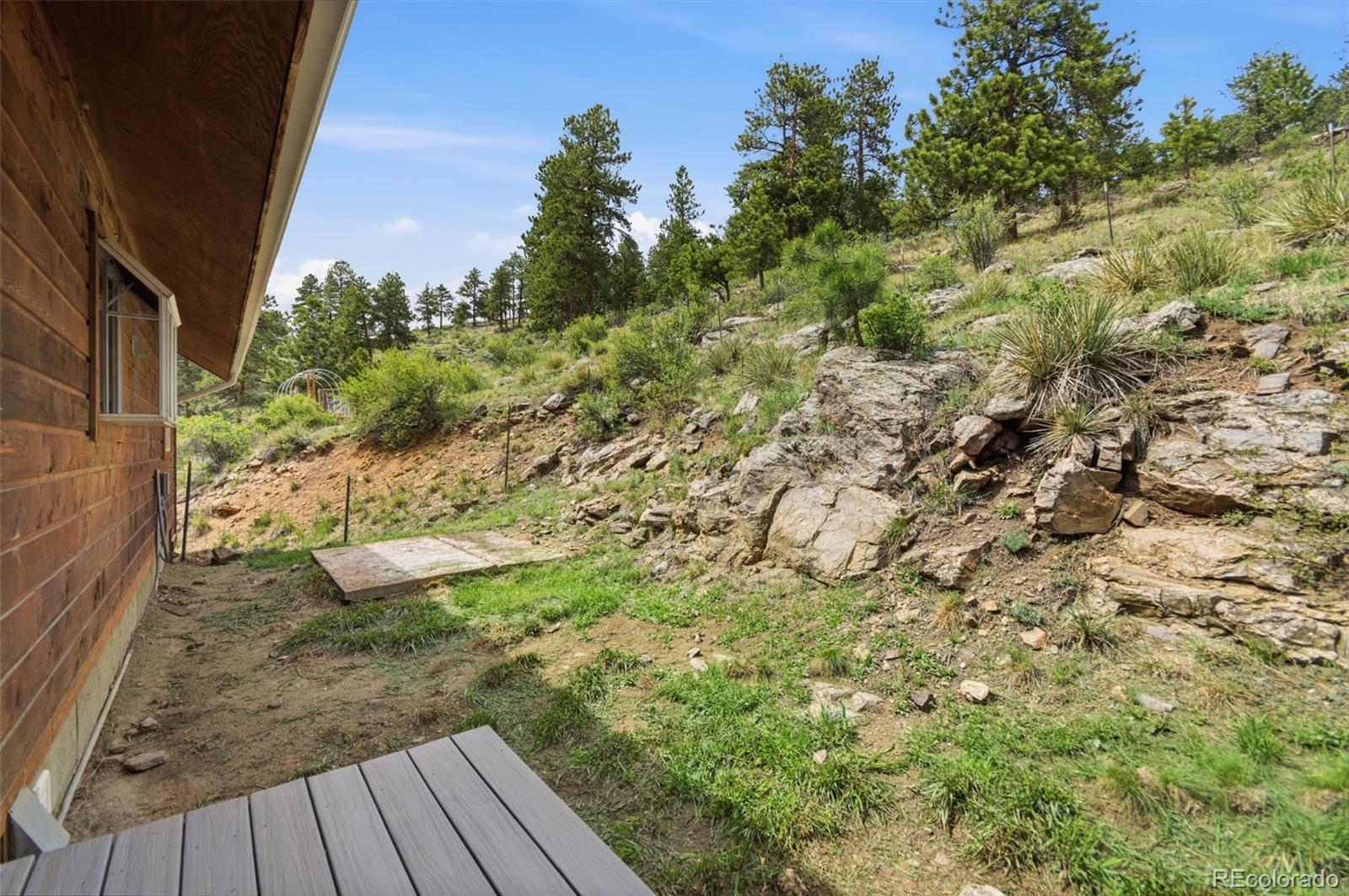 MLS Image #41 for 202  badger lane,bailey, Colorado