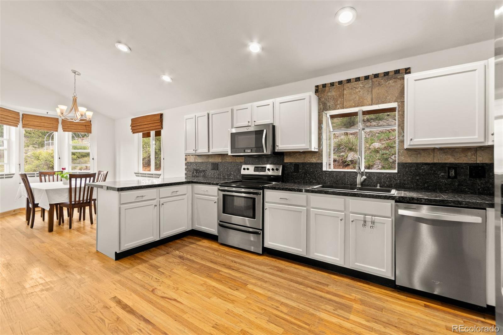 MLS Image #6 for 202  badger lane,bailey, Colorado