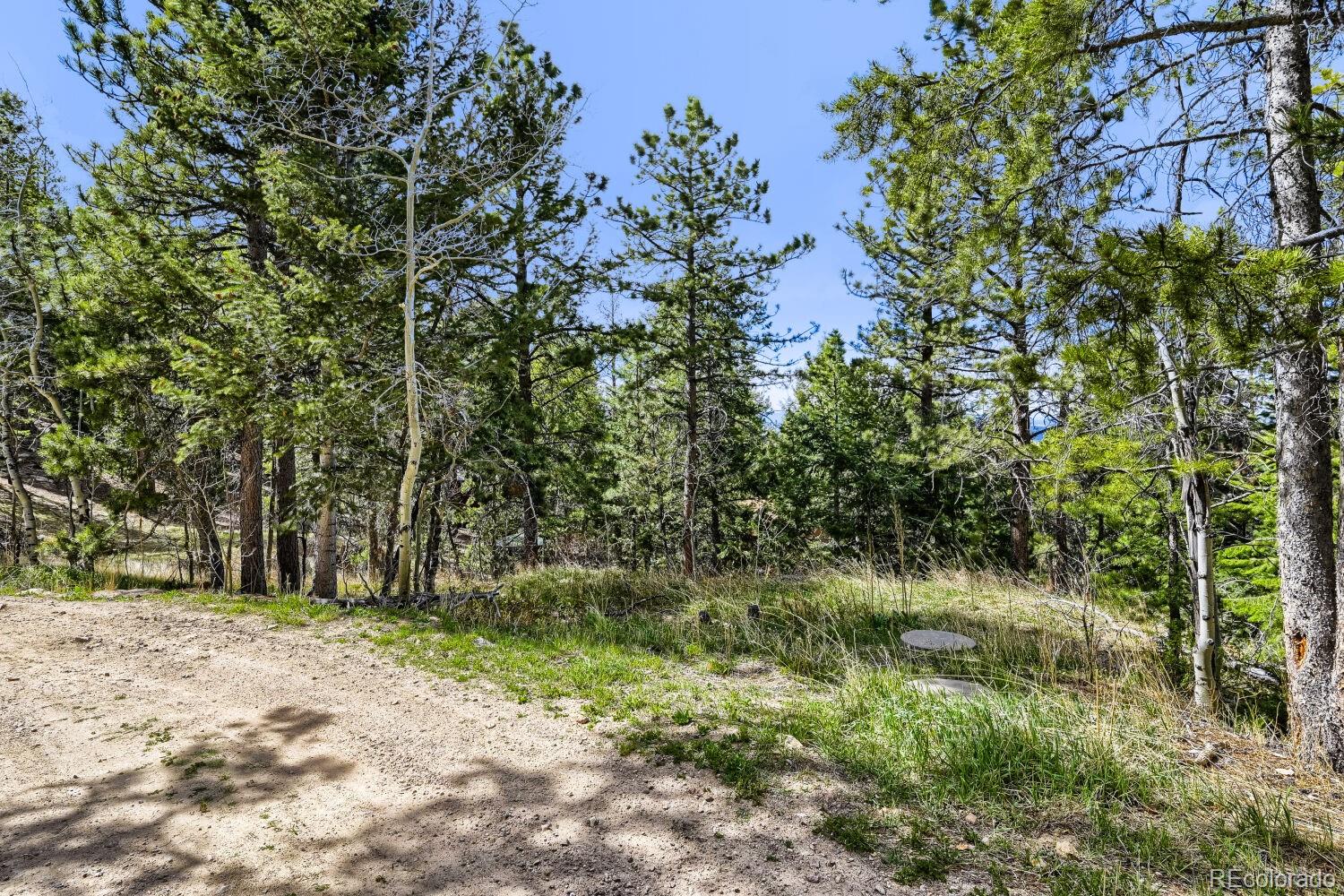 MLS Image #23 for 126  signal rock road,golden, Colorado