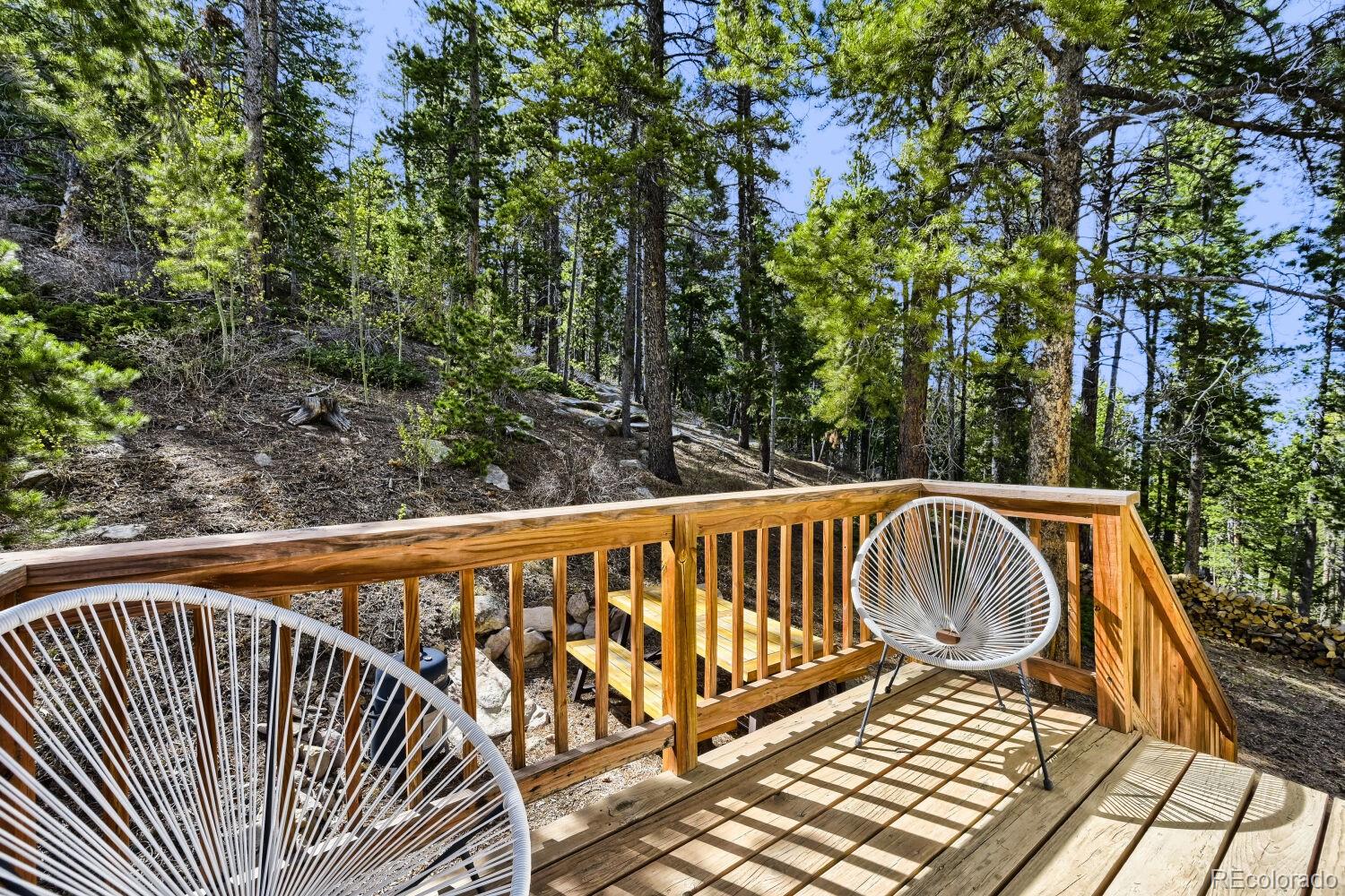 MLS Image #34 for 126  signal rock road,golden, Colorado