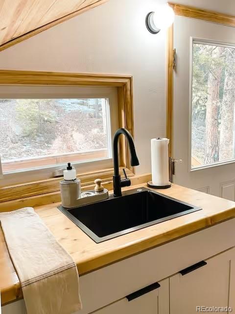 MLS Image #39 for 126  signal rock road,golden, Colorado