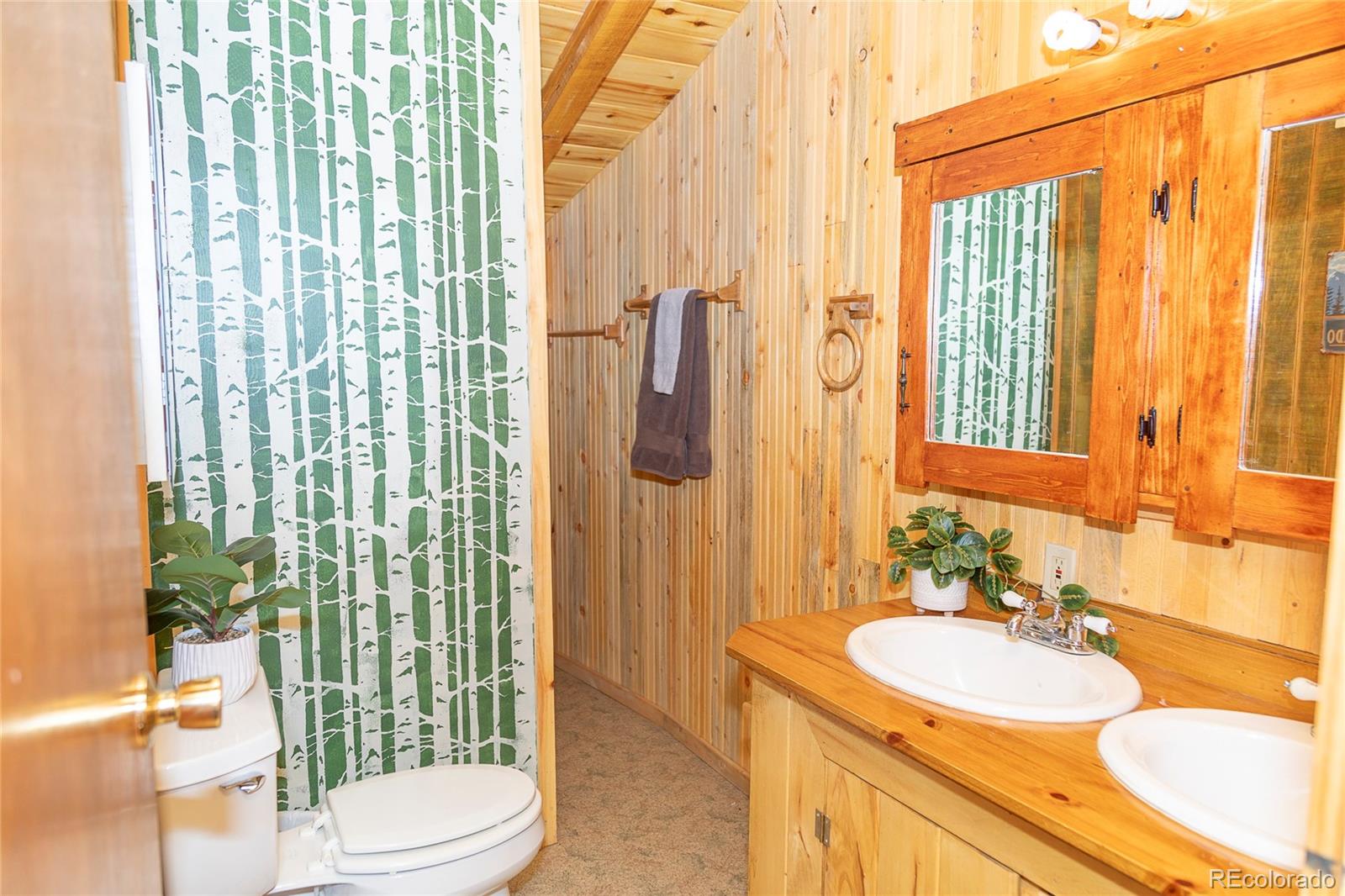 MLS Image #11 for 4100  usfs rd 515 ,creede, Colorado