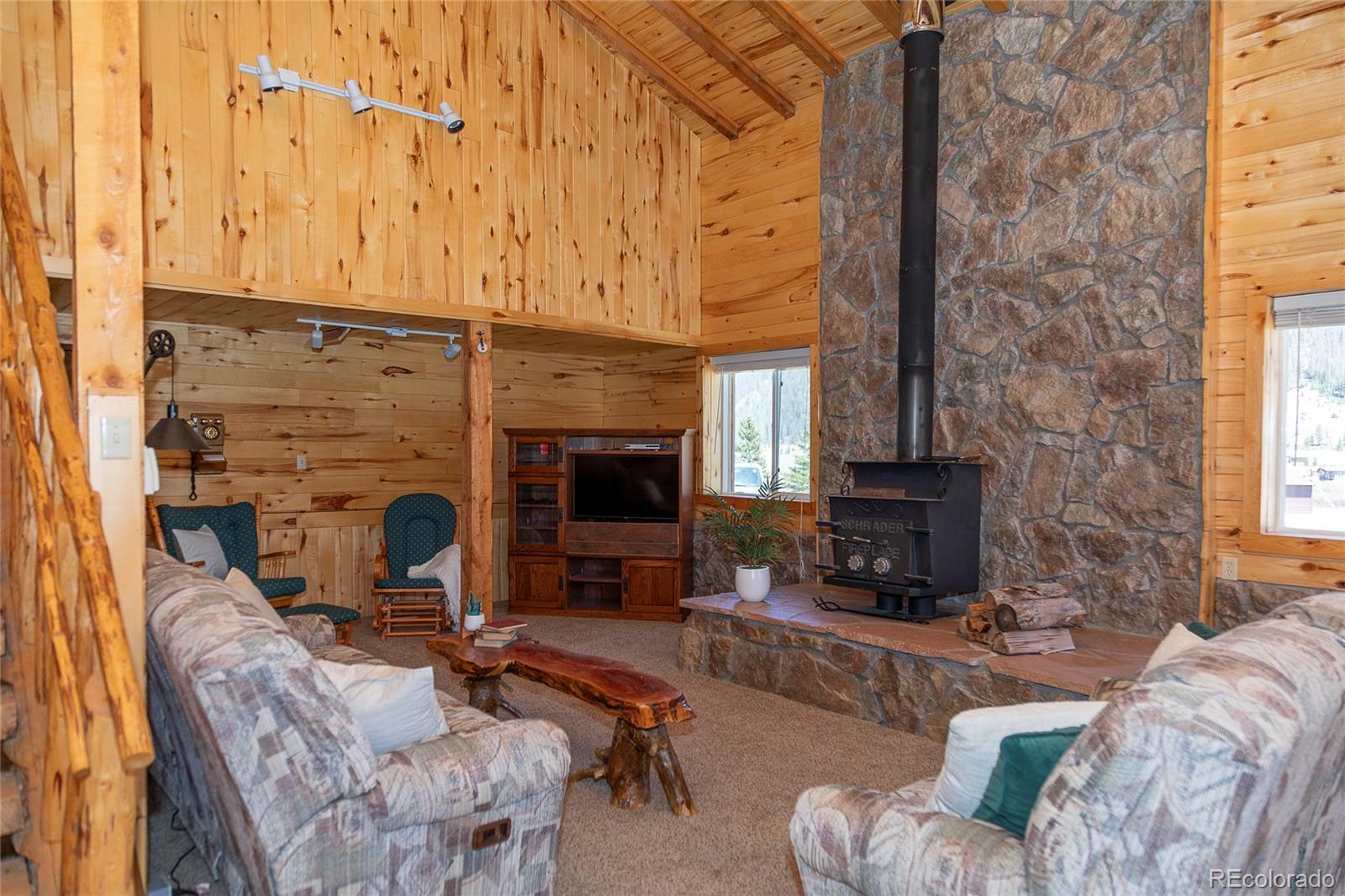 MLS Image #12 for 4100  usfs rd 515 ,creede, Colorado