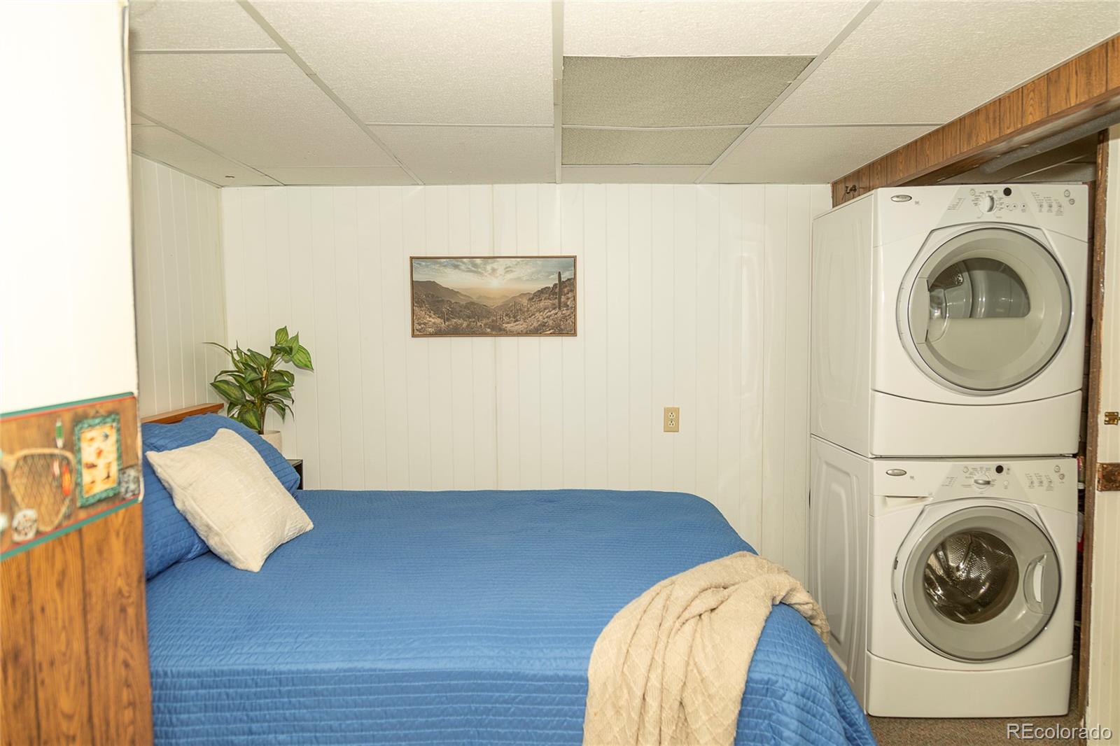 MLS Image #17 for 4100  usfs rd 515 ,creede, Colorado