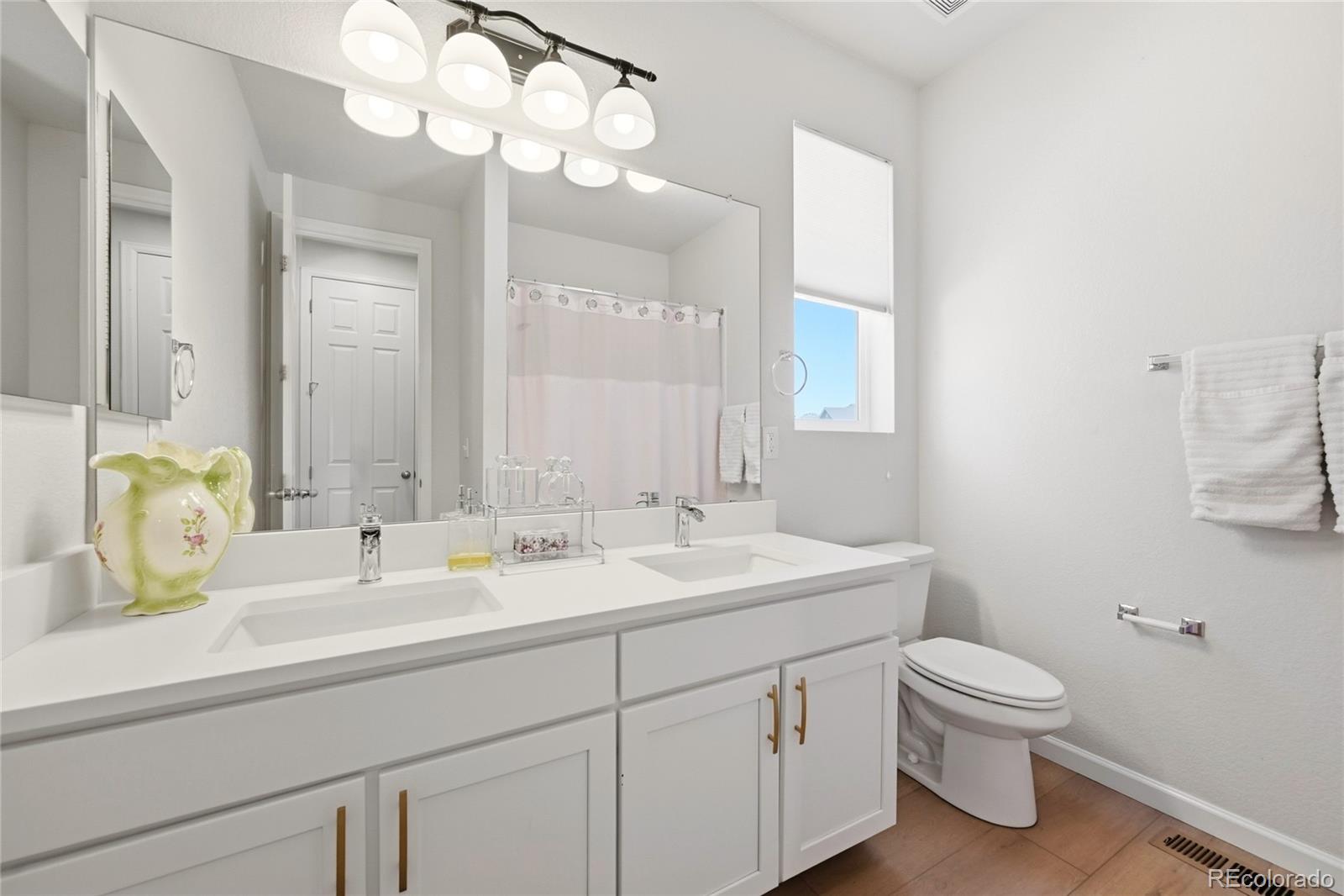 MLS Image #7 for 7757  blue water lane,castle rock, Colorado