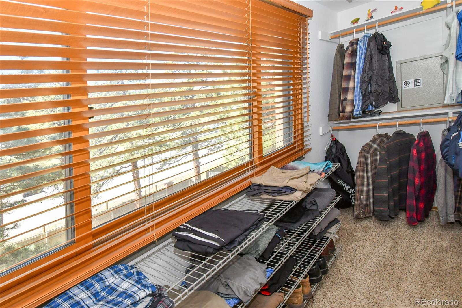 MLS Image #33 for 25758  summergreen lane,golden, Colorado